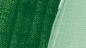 Preview: Laubgrün b