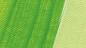 Preview: Maigrün b