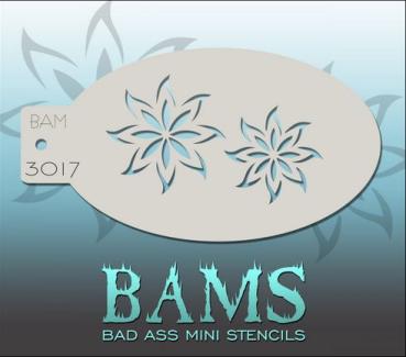 Bams3017