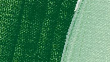 Preview: Laubgrün b