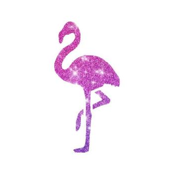 Flamingo2