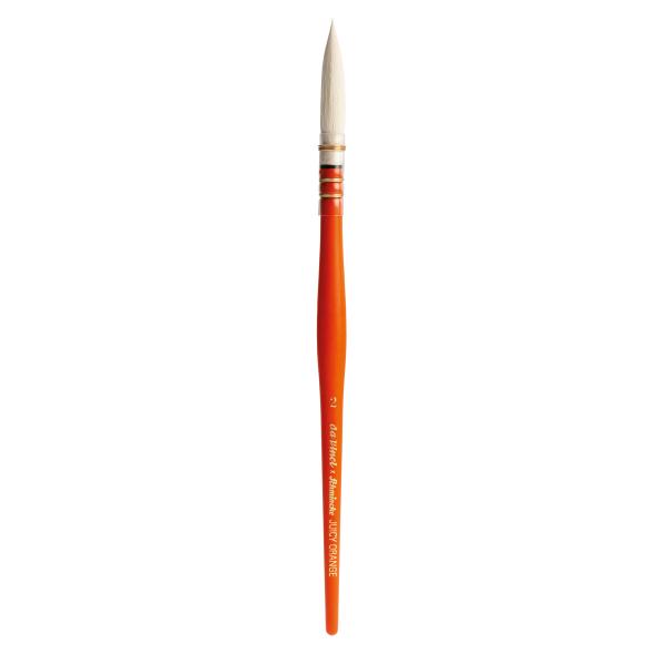 Juicy Orange_d